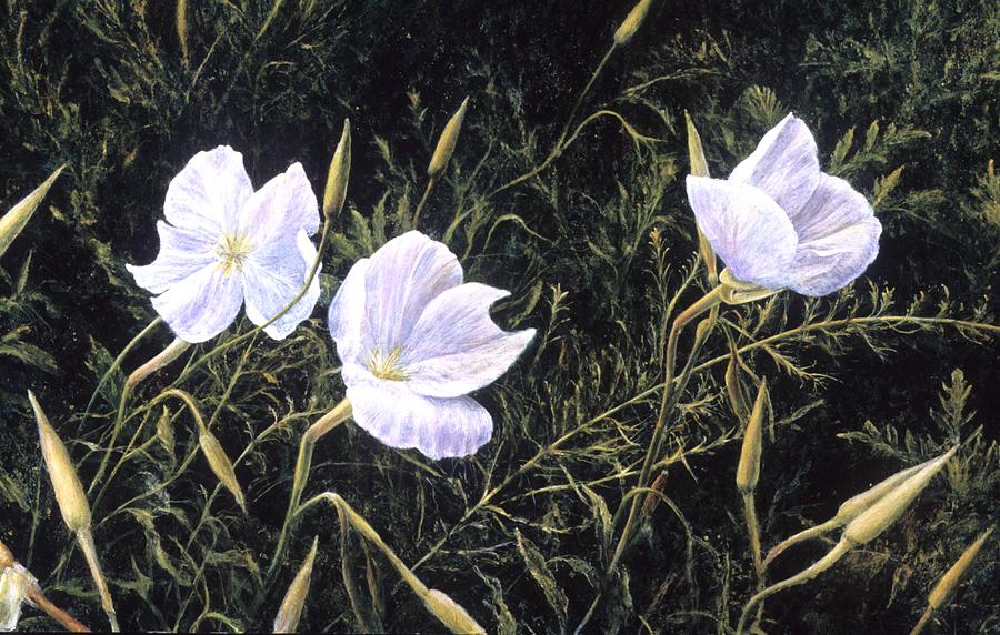 Floral Painting - Prairie Blossoms by Janet Landrum Floral Painting - Prairie Blossoms by Janet Landrum