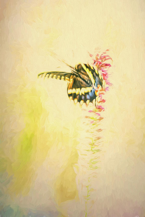 Prairie Butterfly 3 by Patricia Cale Prairie Butterfly 3 by Patricia Cale