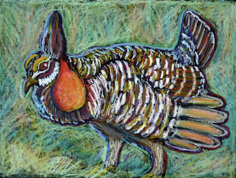 Prairie Chicken Painting by Ande Hall