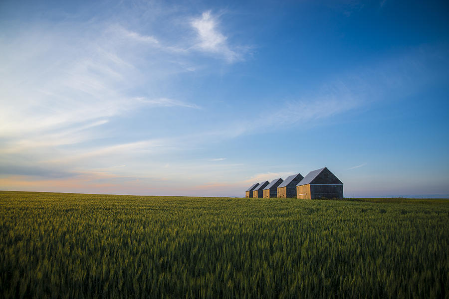 Prairie evening Photograph by Bill Cubitt