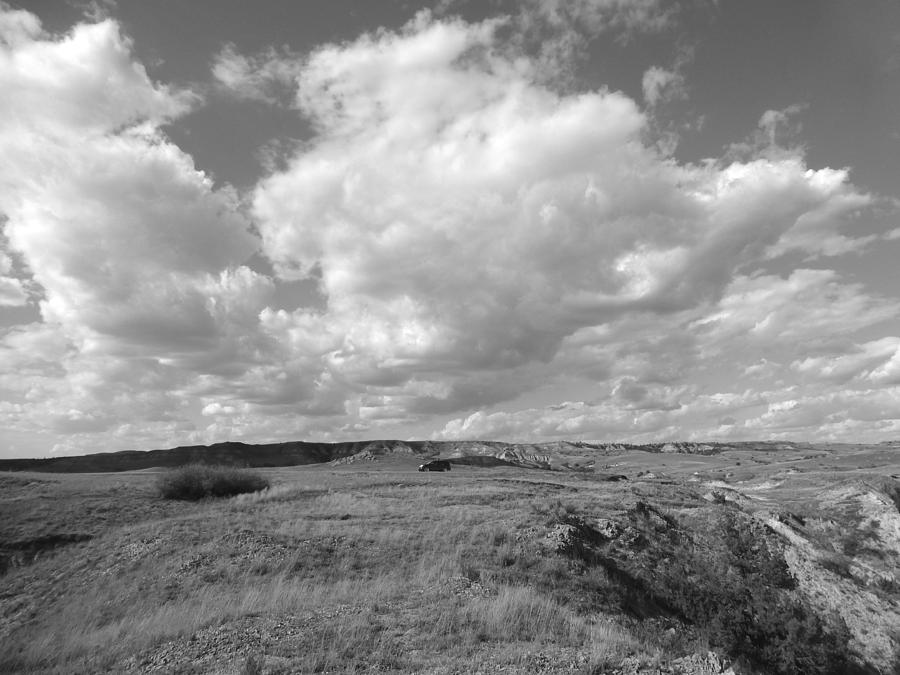 Prairie Exploration Photograph by Cris Fulton