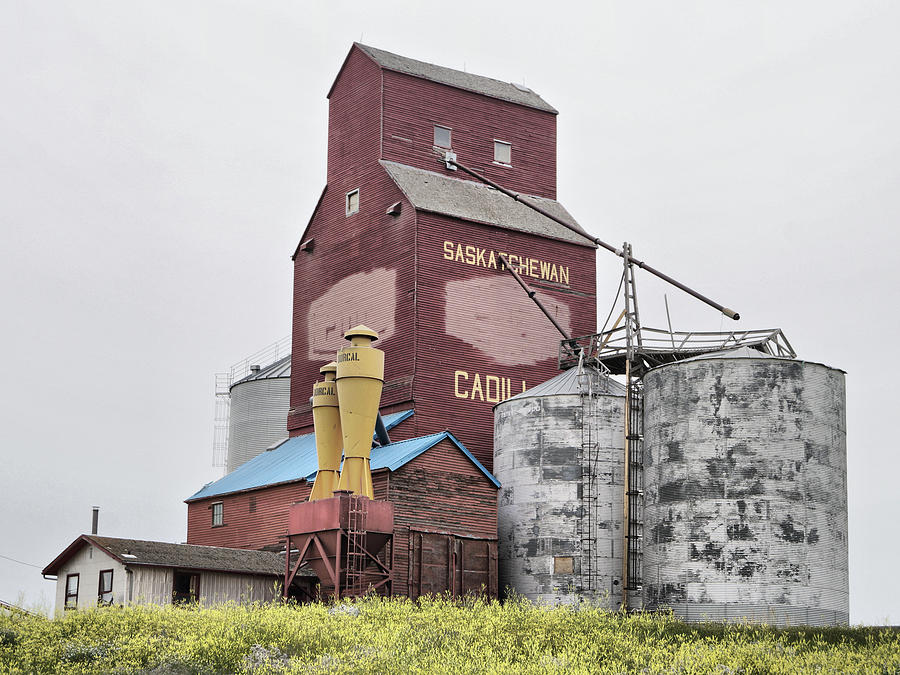 Prairie Giant Photograph by Blair Wainman