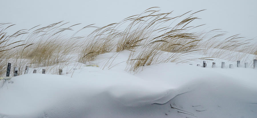 Prairie Grass and Snow Drifts by Kathryn Photograph by Photography by Phos3 Kathryn Parent and Dave Paddick