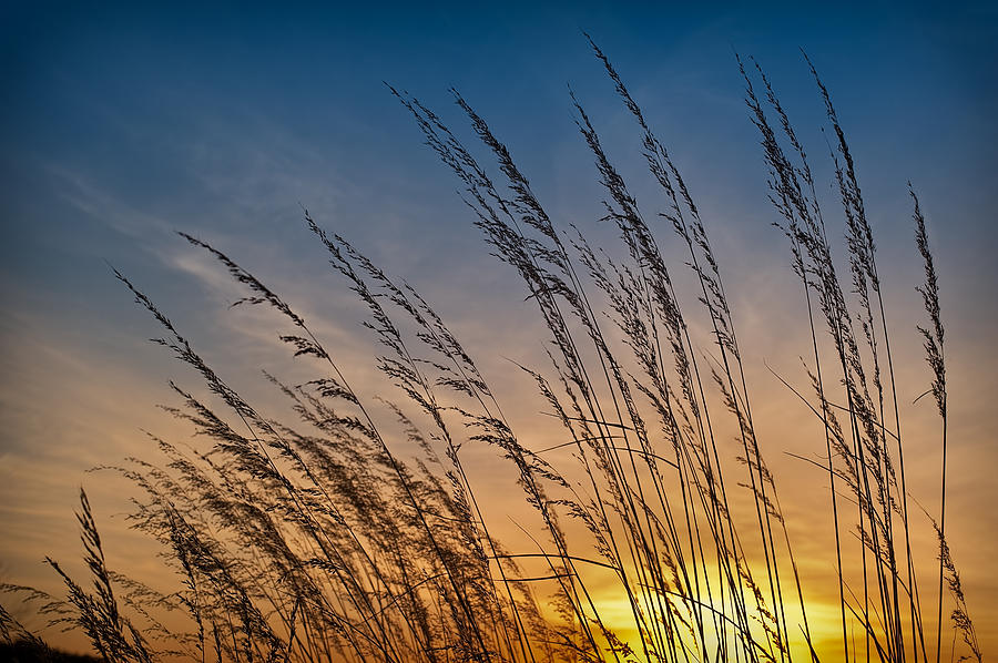 Sunset Photograph - Prairie Grass Sunset by Steve Gadomski