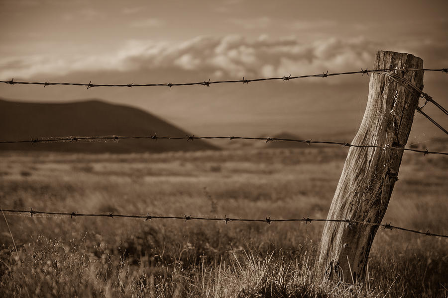 Prairie Lands Photograph by Craig Watanabe