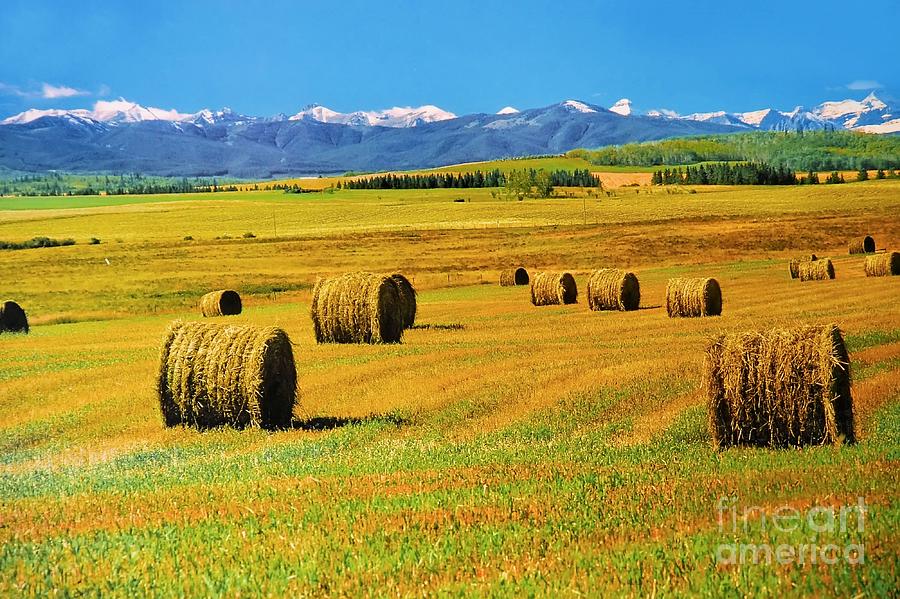 Prairie Moutains and Fields Photograph by Elaine Manley