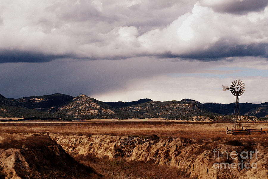 Landscape Photograph - Prairie of New Mexico by Anjanette Douglas