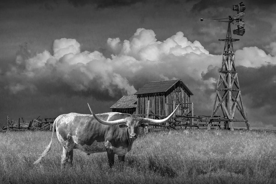 Prairie pasture with a Longhorn Steer Photograph by Randall Nyhof