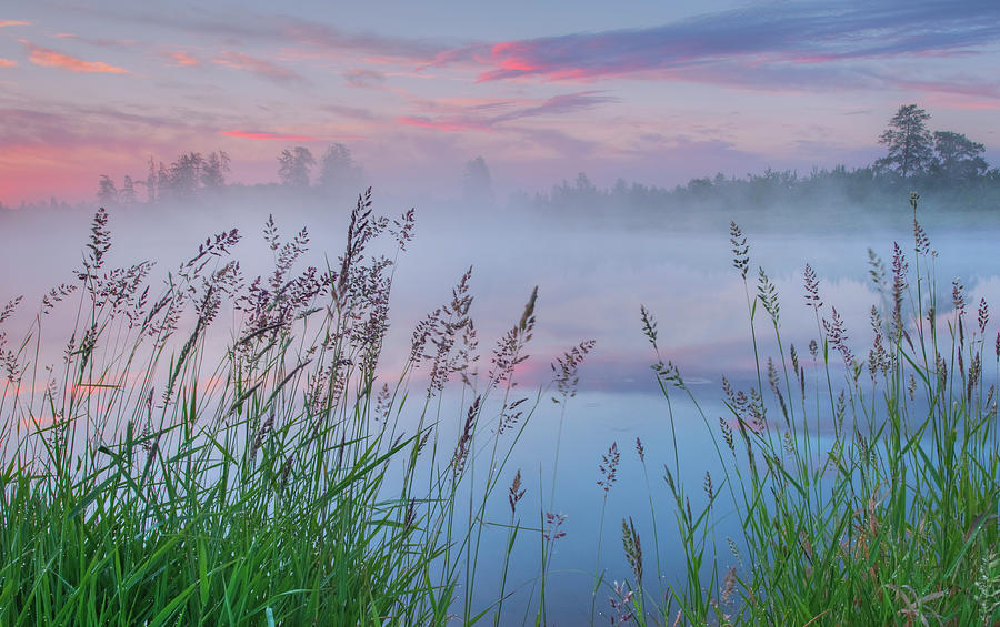Prairie Pond Before Sunrise Photograph by Dan Jurak