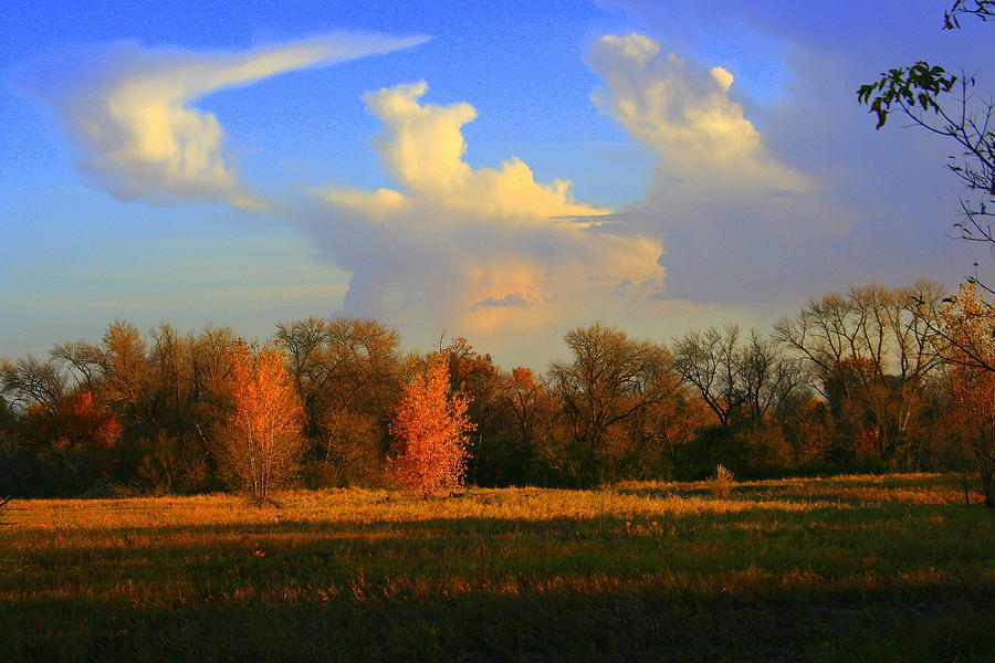 Tree Photograph - Prairie Quiet 3 by Julie Lueders 