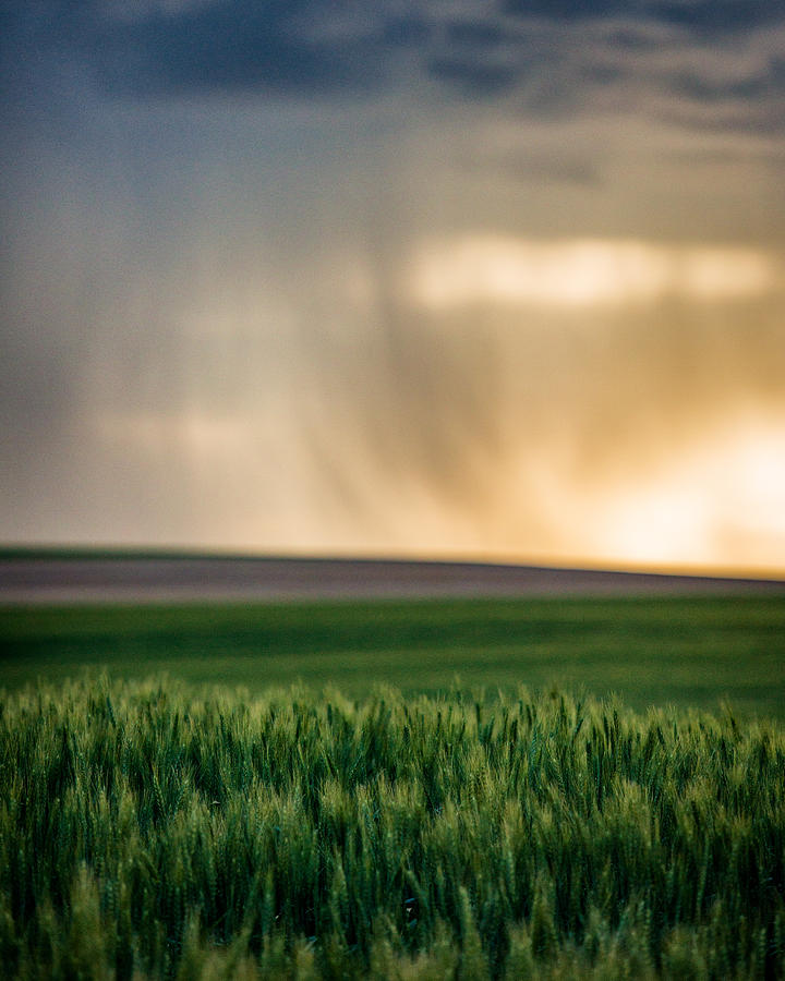 Prairie Rainstorm Photograph by Matt Hammerstein