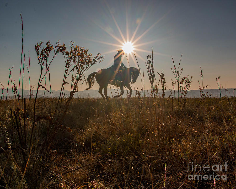 Prairie Ride Photograph