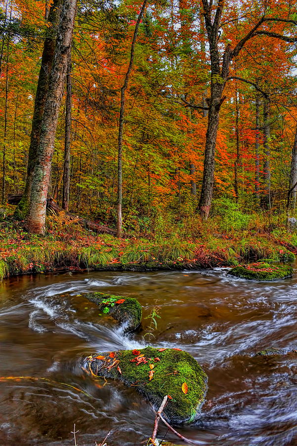 Prairie River Autumn Flow Photograph by Dale Kauzlaric