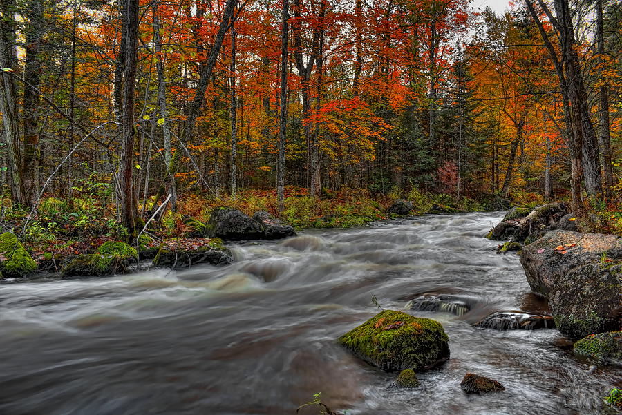Prairie River Autumn Leaves Photograph by Dale Kauzlaric