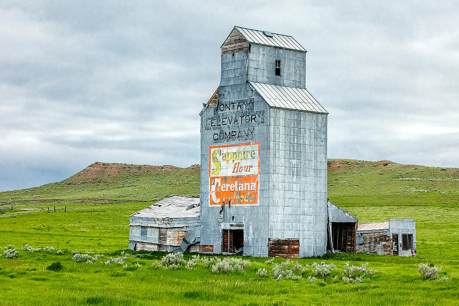 Prairie Sentinel Photograph by Todd Klassy