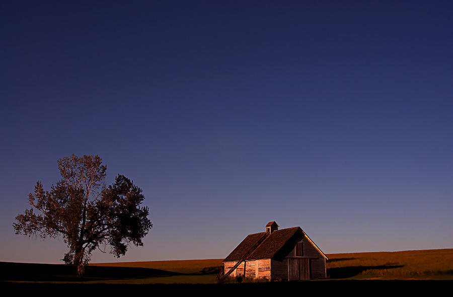 Prairie Shadows - Granary and Tree at Sunset Photograph by Mitch Spence