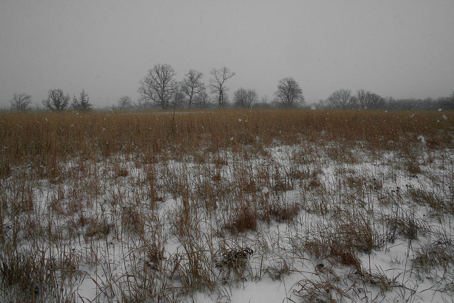 Prairie Snow Photograph by Dylan Punke