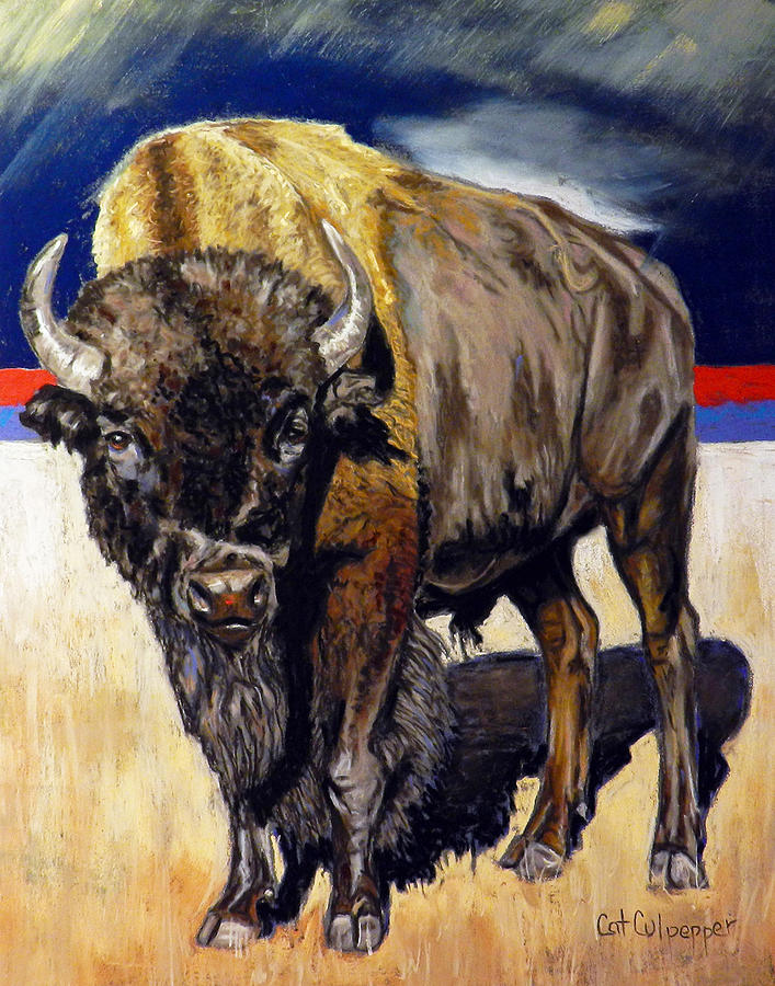 Buffalo Pastel by Cat Culpepper - Fine Art America