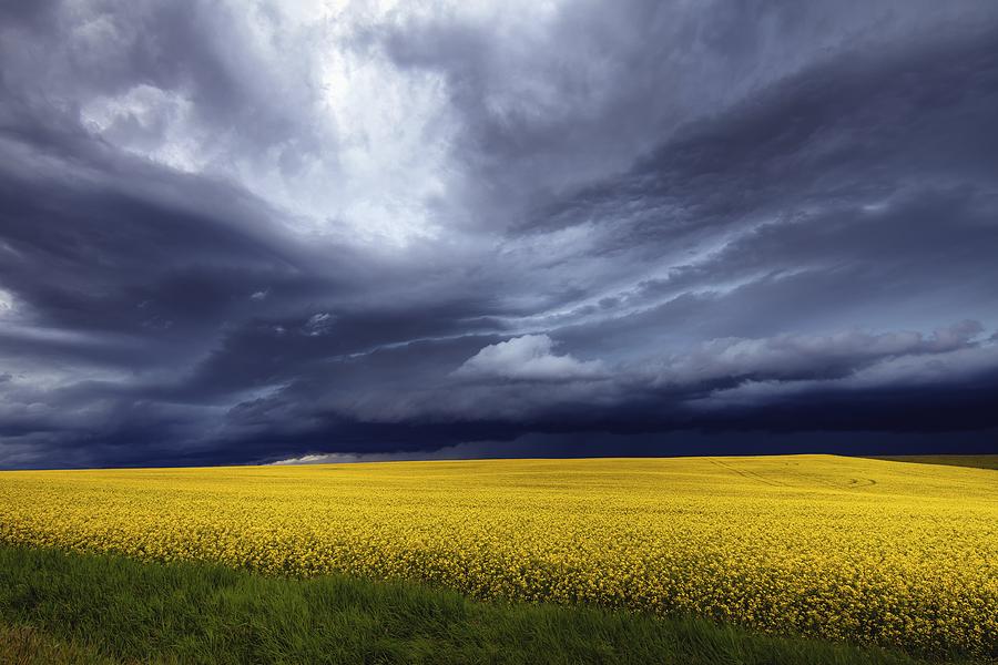 Prairie Storm Photograph by David Buhler
