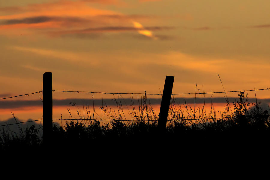 Prairie Sunset Photograph by Inge Riis McDonald