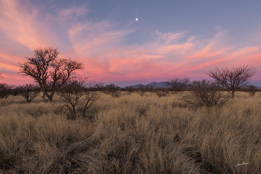 Prairie Sunset Photograph by Jurgen Lorenzen