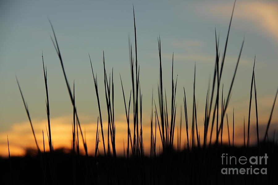 Prairie Sunset Photograph