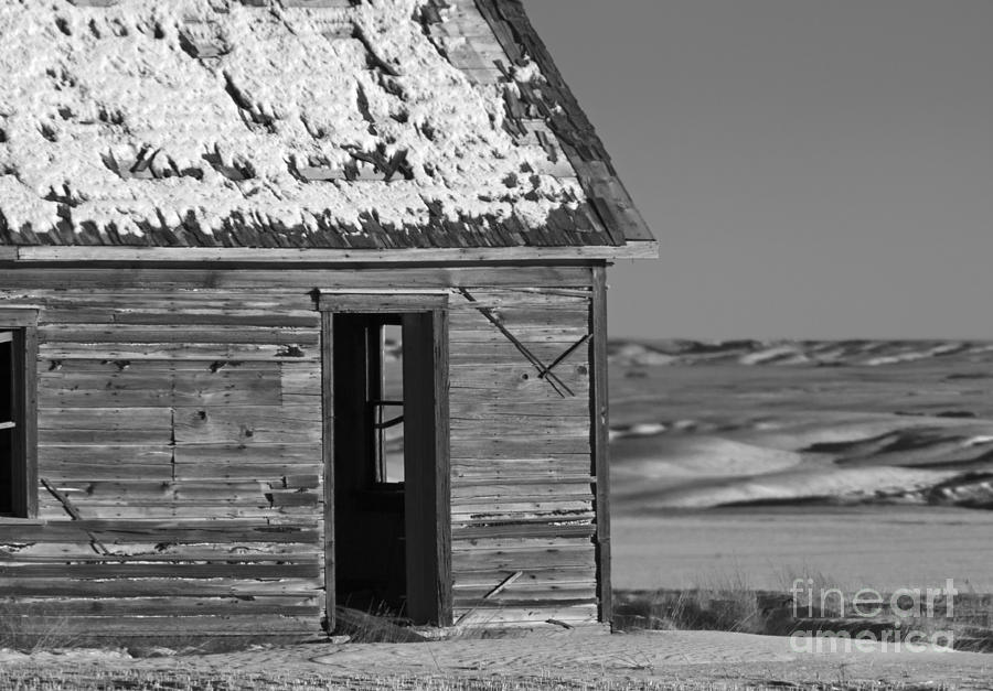 Prairie Tales.. Photograph by Nina Stavlund