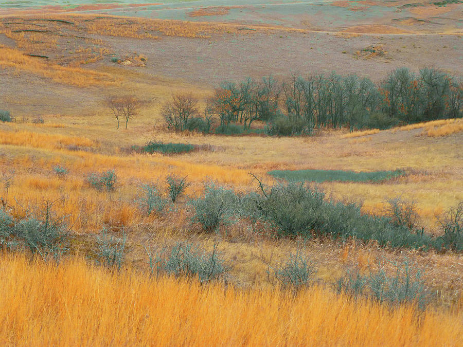 Prairie Territory Reverie Photograph by Cris Fulton