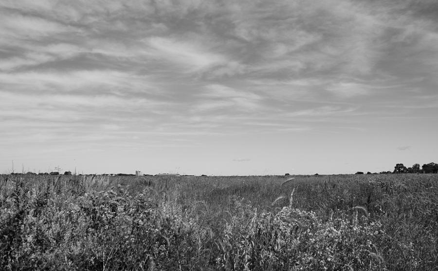 Prairie View BW Photograph by Inspired Arts