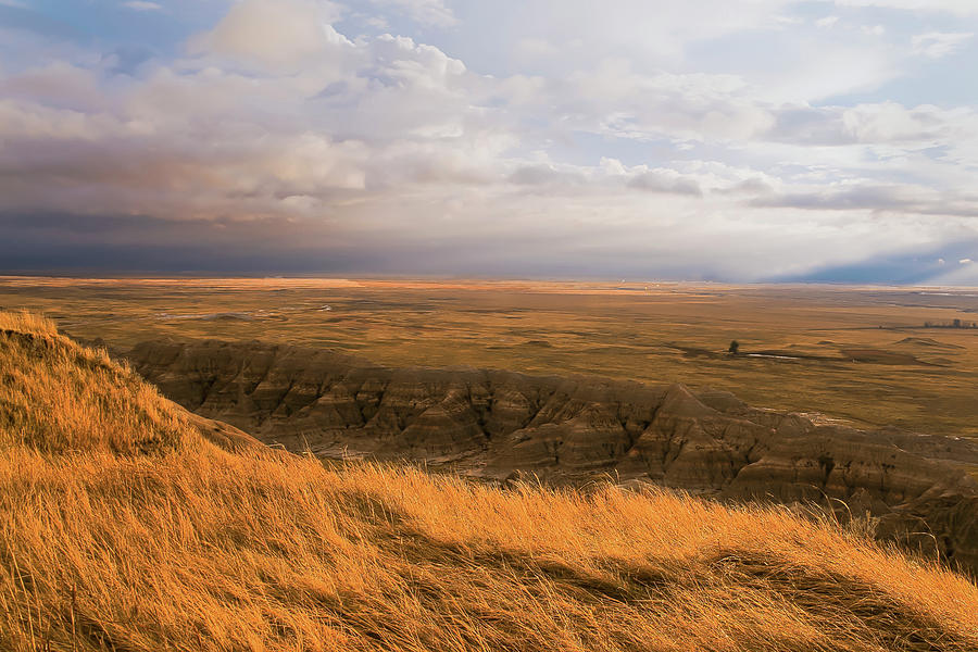 Prairie Wind Photograph by Ron  McGinnis