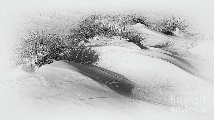Prairie Winds Photograph by Jim Garrison