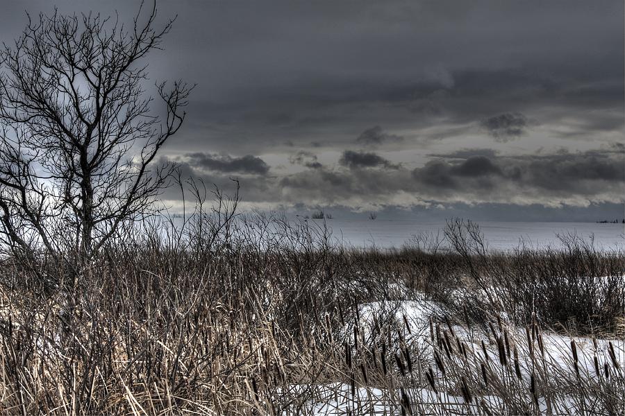 Prairie Winter Photograph by David Matthews