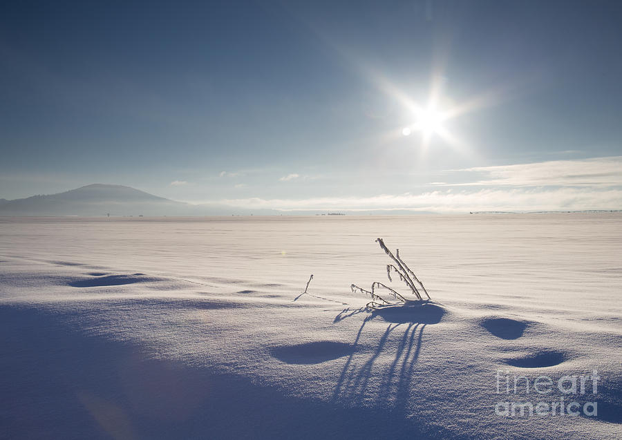 Prairie Winter Photograph by Idaho Scenic Images Linda Lantzy