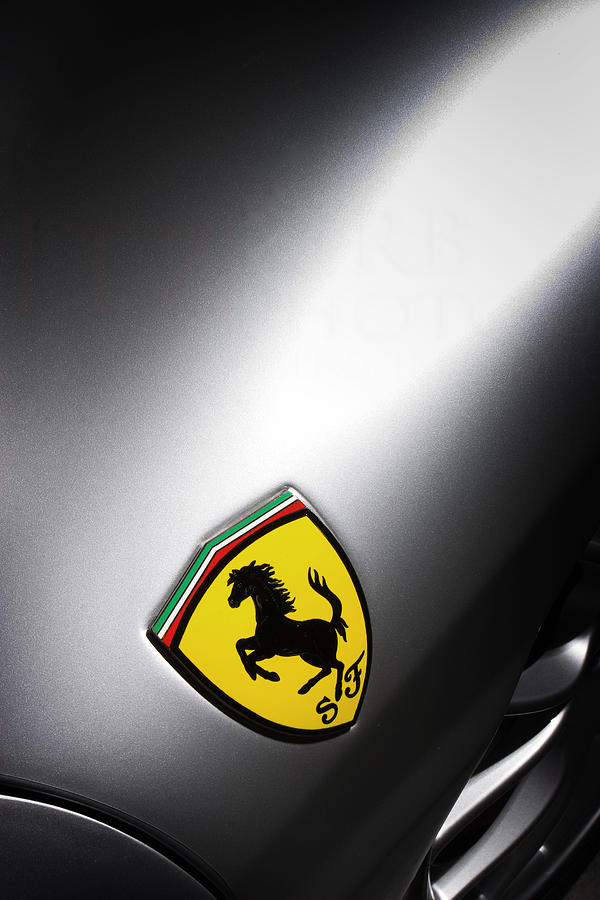 Prancing Horse Photograph by ItzKirb Photography
