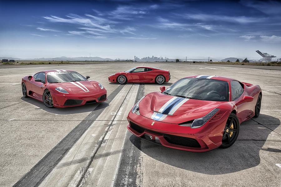 Prancing Horses Photograph by ItzKirb Photography