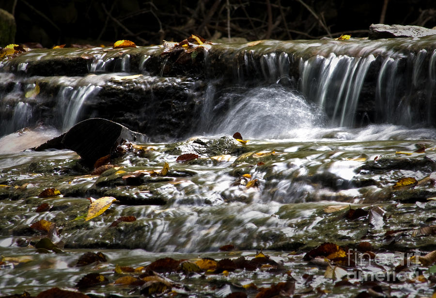Prather-Creek-Rapids Photograph by Fred Lassmann