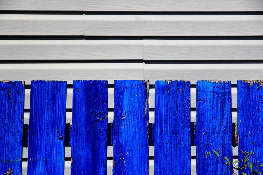 Pratt Makes Me Blue Photograph by Kreddible Trout