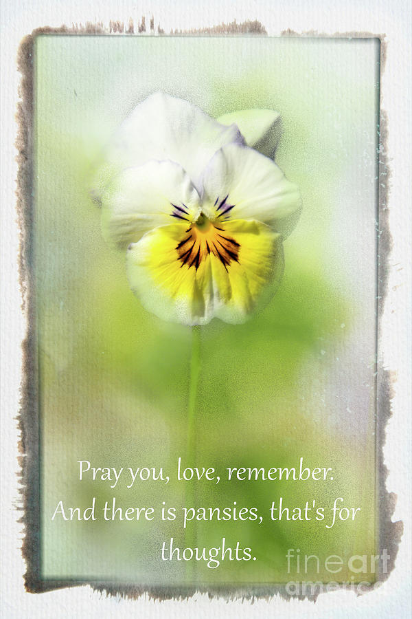 Pray you, love Photograph by Marilyn Cornwell