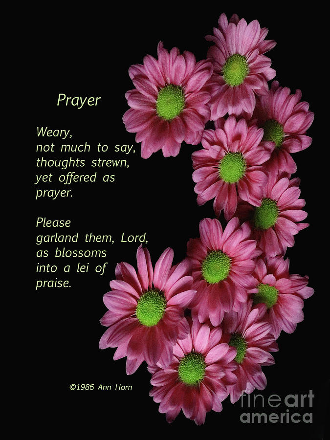 Flower Photograph - Prayer by Ann Horn