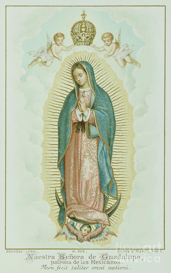 Prayer card depicting Our Lady of Guadalupe Painting by French School