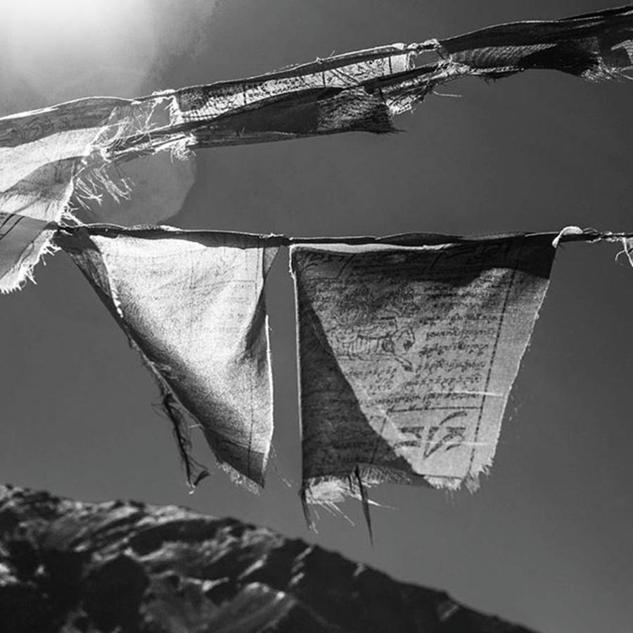 Prayer Flags Photograph by Aleck Cartwright