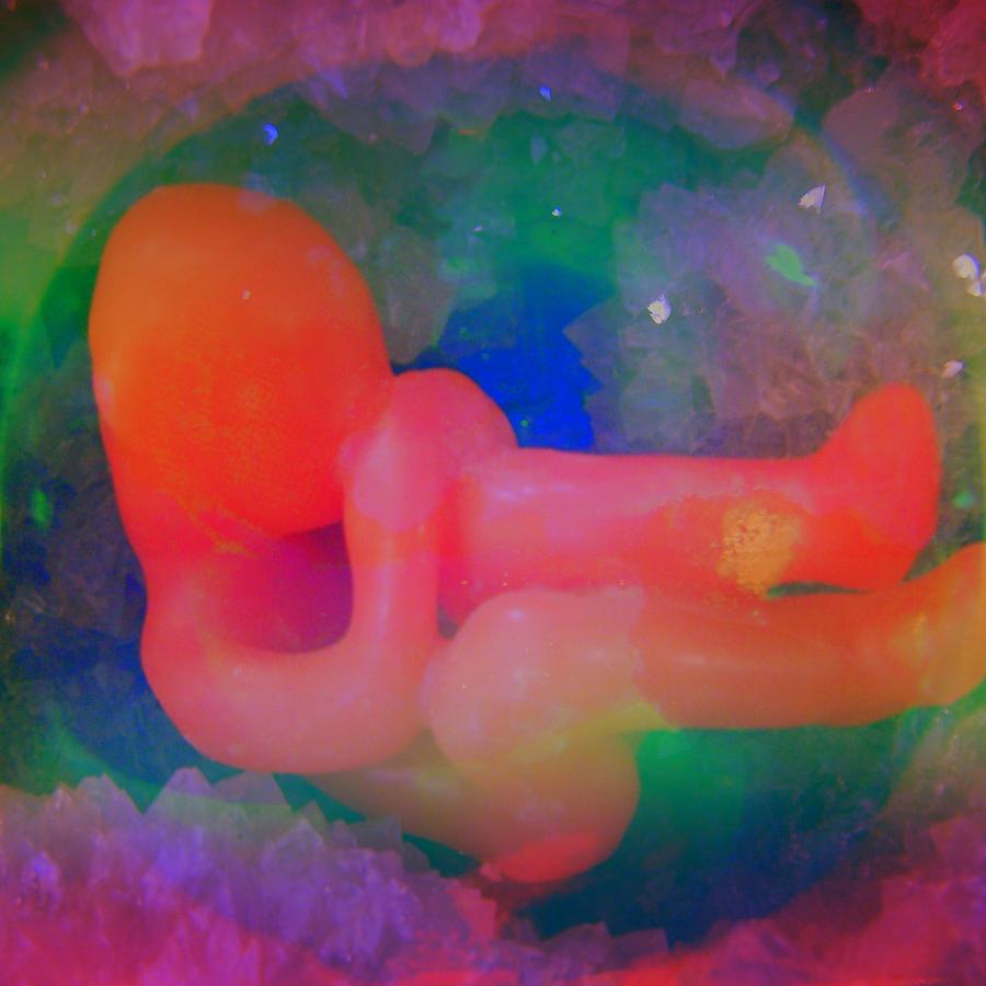Unborn Digital Art - Prayer of the Unborn by Kathleen Luther