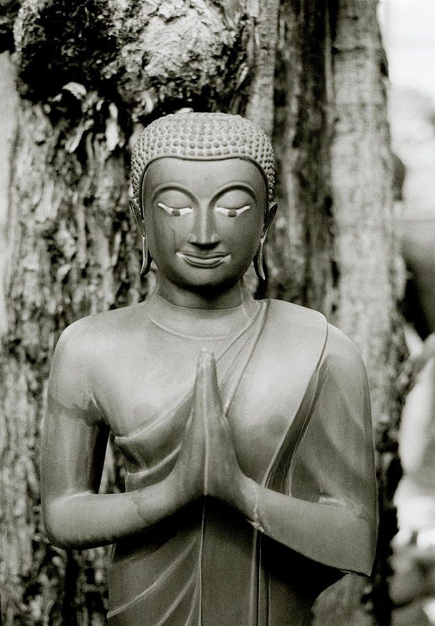 Praying Buddha Of Thailand Photograph by Shaun Higson