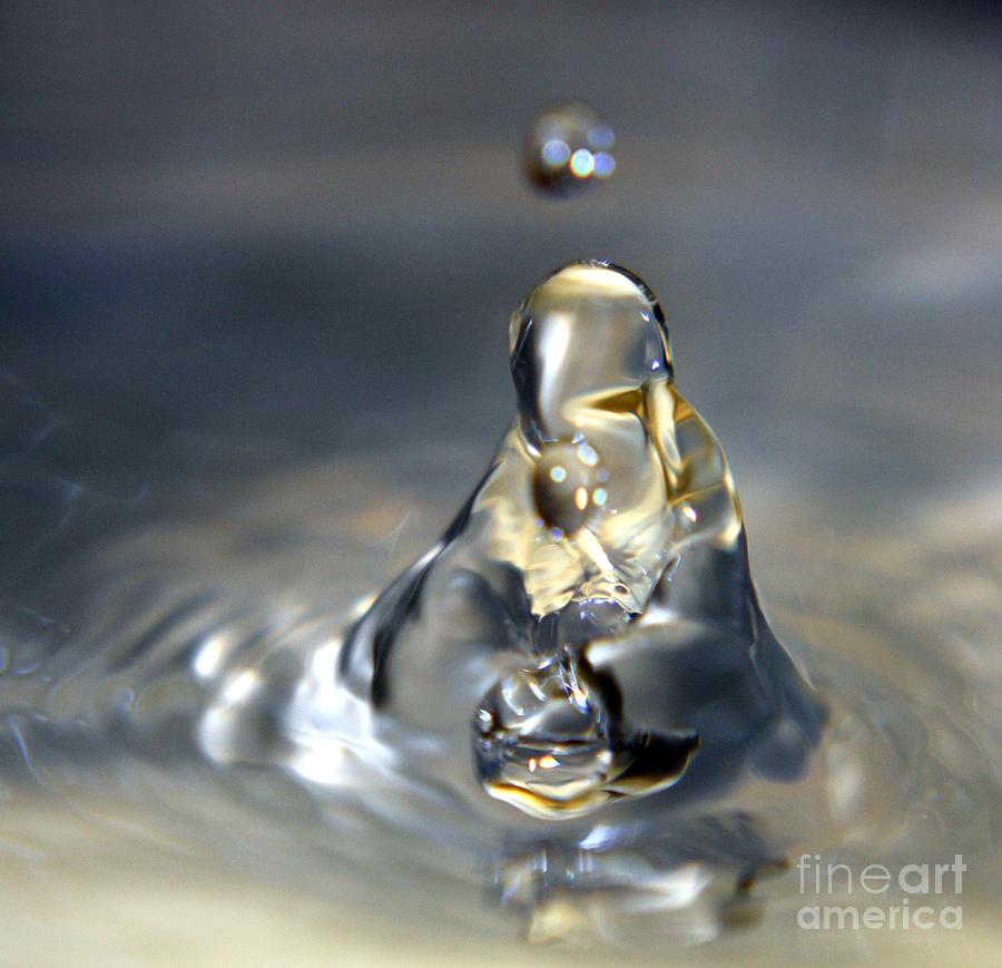 Praying for Water Photograph by Balanced Art