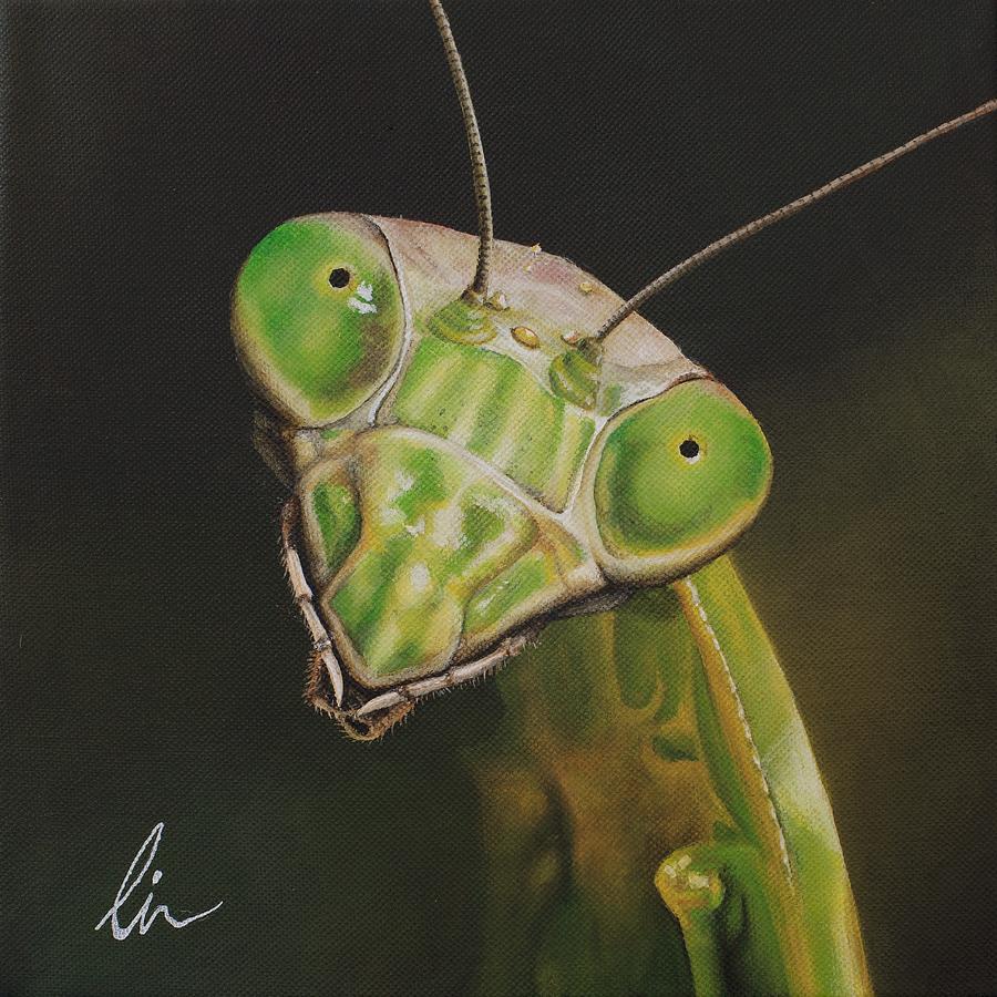 Praying Mantis Painting By Cindy D Chinn