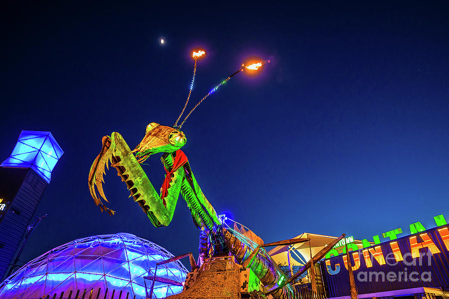 Praying Mantis Fremont Street Las Vegas Photograph by Aloha Art