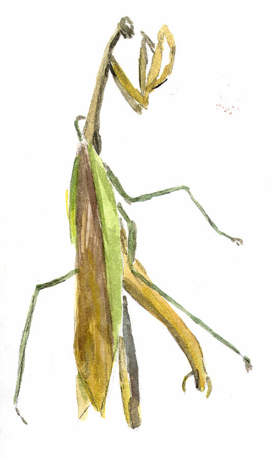 Praying Mantis Painting by Kevin Callahan