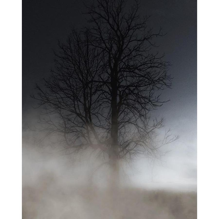 Nature Photograph - Pre-dawn Fog Wrapped Around A Stark by Blake Butler