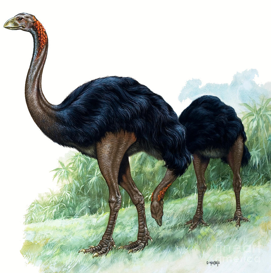 Prehistoric Painting - Pre-historic birds by David Nockels