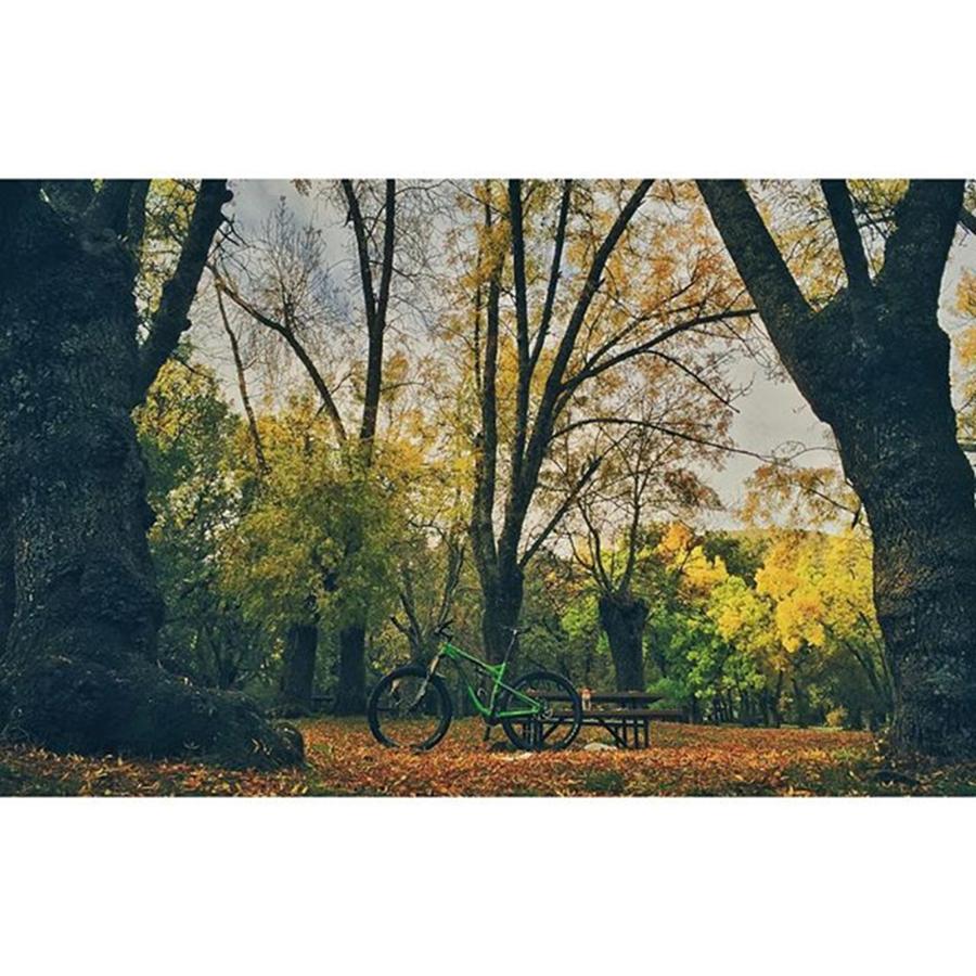 Fall Photograph - 🌳🌳pre Weekend🌳🌳
34km - by Andres Entero